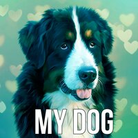 Tranquil Music - Pet Care Club