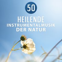 Zen Entspannungsmusik für Massage - Einschlafen Akademie