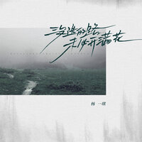 没选的路未必开满花 - 杨一琪