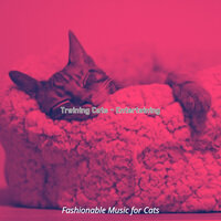 Relaxed (Music) - Fashionable Music for Cats
