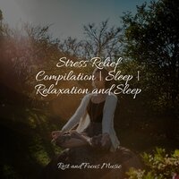 Flowing Creeks - Relaxing Spa Music & Echoes of Nature & Meditative Music Guru