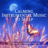 Silent Sleep (Ocean Waves) - Deep Sleep Maestro