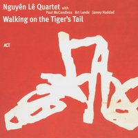 Evening Glory - Nguyên Lê