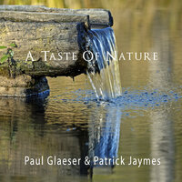 Fireside - Paul Glaeser & PATRICK JAYMES