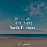 Aquí en Tus Brazos - Música Zen Relaxante & Música para Dormir Con Relajantes Sonidos de la Naturaleza & Musica Para Relajarse