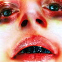 Desafío - Arca