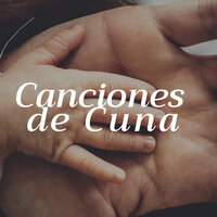 Equilibrio entre Mente y Cuerpo - Ritmo del Feto