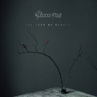 My Darkest Years - Shores Of Null