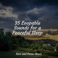 Soothing Melodious - Spa Zen & Baby Sleep Music & Calm shores
