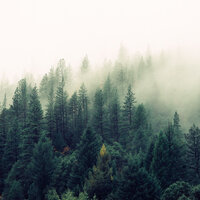 Sleeptime Rain - Hi Freq Samples & Brainwave Samples & White Noise Therapy