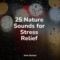 Beach, Waves, Lapping, Medium - Lullaby Rain & Sonidos De Lluvia y Tormentas & Reiki Tribe