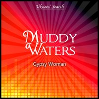 Trouble No More - Muddy Waters