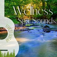 Sound Therapy - Soothing Relaxation Acoustic Guitar in Nature & Me And My Guitar & Forest Guitar