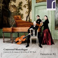 Concerto for Viola da Gamba in C Major, GraunWV A:XIII:2: II. Arietta e poco andante con sordini - Fantasticus XL & Robert Smith