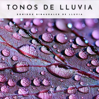 Experiencia De Tormenta - Latidos Binaurales Colectivo & Sonidos De Truenos y Lluvia & Relajantes sonidos de lluvia