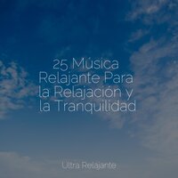 Armonía Natural - Meditar Profundamente & Meditacion & Masajes Spa