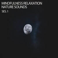 Soft White Noise - Baby Lullaby Academy & Spa Relaxation & Spa & Spa Music & Meditation Collective