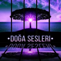 Uykuya Dalmak - Doğanın Müziği