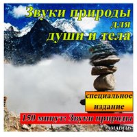 Тропический водопад и звук тропическом лесу: звуки природы - Amadeus