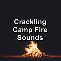 Fireplace Burning in the Nature To Loop for 24 Hours - Fire Sounds & Fireplace Music Set & Original Fireplace