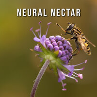 Mental Tranquility Oasis - Zen Universal