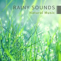 New Age Rain - Peaceful Mind Music Consort