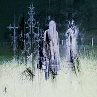 cradle - Vinter