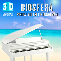Piano Lluvia en la Montaña Sueño - Emiliano Bruguera