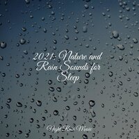 Medium Campfire - Sonidos de la Naturaleza Relax & Rain & Massage