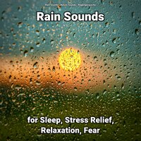 Rain Sounds for Sleep Pt. 2 - Nature Sounds & Rain Sounds & Regengeräusche