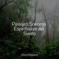 Olas de Bienaventuranza Pura - Sonidos De Truenos y Lluvia & Música De Relajación Para Dormir Profundamente & Sonidos de la Naturaleza para Dormir