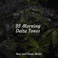 Morning Mists - Academia de Música con Sonidos de la Naturaleza & Pro Sound Effects Library & Deep Sleep Music Delta Binaural 432 Hz