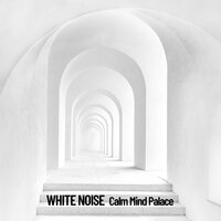 Wave Conservation - Brain Timbre & Focus & Hypnosis Therapy
