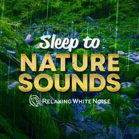 Enchanted Lake Water Sounds for Sleep Loop (No Fade) - Relaxing White Noise