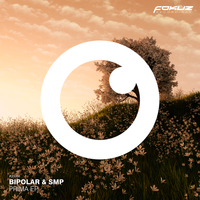 Lies - Bipolar & SMP