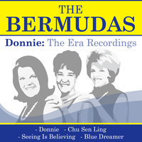 Seeing Is Believing - The Bermudas