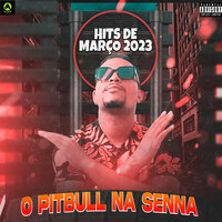 Várias Piranhas - O Pitbull na Senna