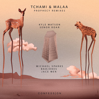 Prophecy - Tchami & Malaa & Kyle Watson