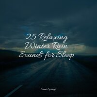 Wet Glass Rains - Musica Relaxante & Sounds of Nature White Noise Sound Effects & Mother Nature FX
