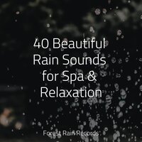 Soothing Small Ocean Waves - Exam Study Classical Music Orchestra & Sleep Sounds Rain & Water Spa