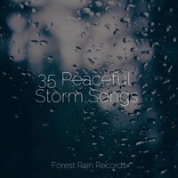 Rain, Drain, Cement, Lawn - Baby Lullabies Music & Namaste Yoga & Ambient Music Therpy