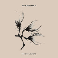 Alder - Sinerider