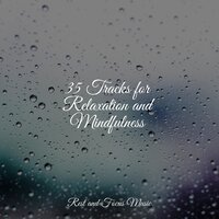 Time for Sleep - Deep Relaxation Meditation Academy & Entspannungsmusik Meer & Alpha Brain Waves