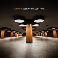 Under the Mirrored Surface - Tonikom