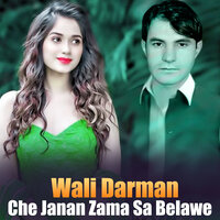 Che Sta Ba Her Yam Kar Par Zra - Wali Darman