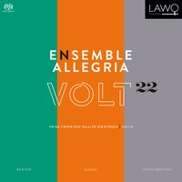 Chamber Symphony, Op. 110a: IV. Largo - Ensemble Allegria & Дмитрий Дмитриевич Шостакович
