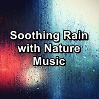 Gentle Rain For Relaxing Times with Sleeping Music - Spa Music Paradise & Hotel Spa & Water Spa