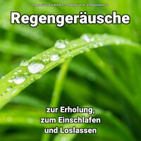 Vergnügen in der Dämmerung - Entspannungsmusik & Regengeräusche & Regengeräusche by Wulf Brach