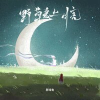 野草爱上了月亮 - 胖球鱼 & dj阿阳