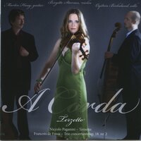 Trio Concertante Op. 18 Nr 2 - Allegro - A Corda